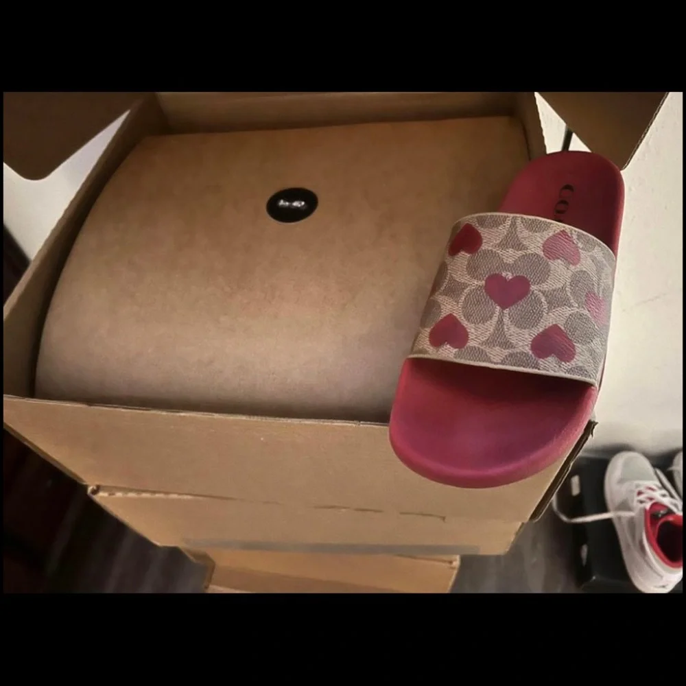 Coach slides - Picture 2 of 2
